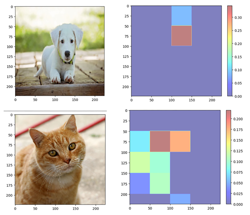 images of a dog and a cat showed as color pixels against a purple background on a heat scale from blue to red